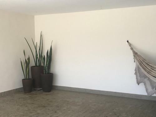 Casa Esalq Piracicaba P/ 12 Pessoas