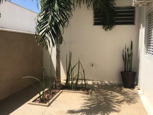 Casa Esalq Piracicaba P/ 12 Pessoas