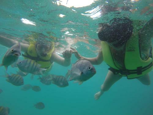 Apartamento Residencial Beijupira