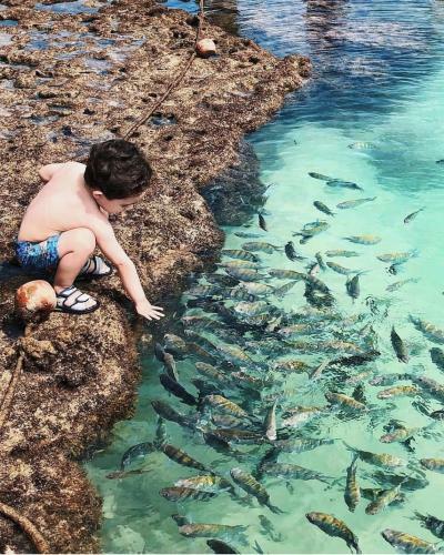 Apartamento Residencial Beijupira