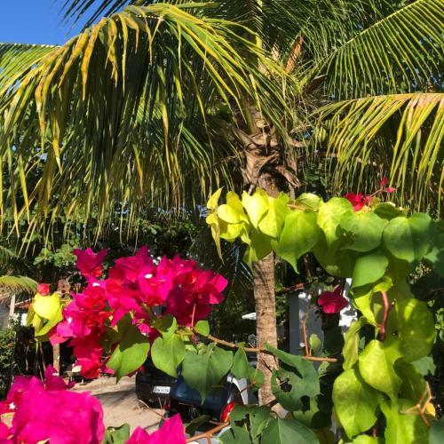 Hostal Pousada Beach Garden