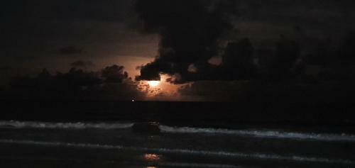 Apartamento Casa Pe Na Areia Terrea