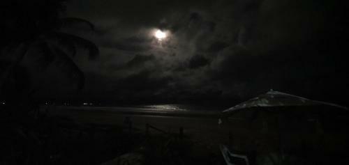 Apartamento Casa Pe Na Areia Terrea