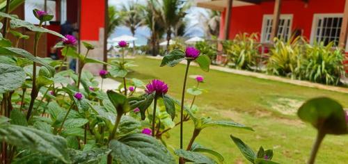 Apartamento Casa Pe Na Areia Terrea