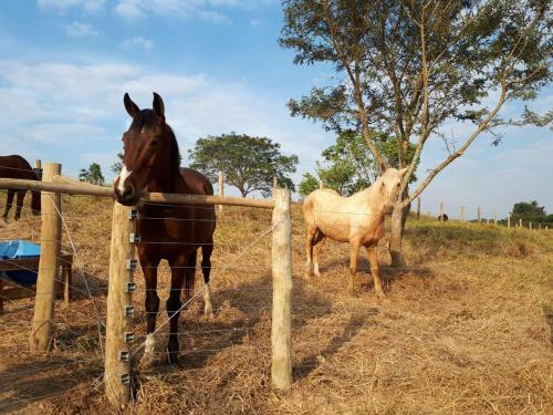 Hotel Fazenda Ararita