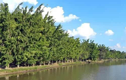 Hotel Fazenda Ararita