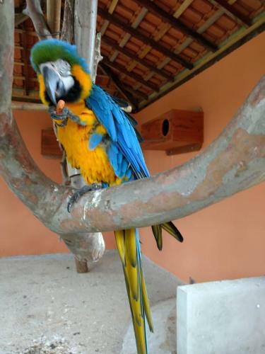 Hotel Fazenda Ararita