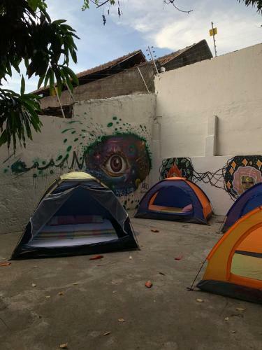 Camping Debaixo Do P� De Manga