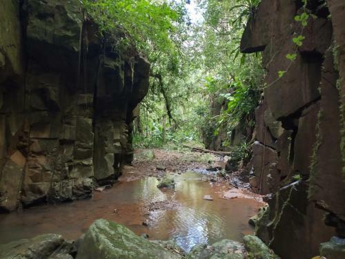 Pousada Figueira Do Rio Do Boi Chal� Ambar