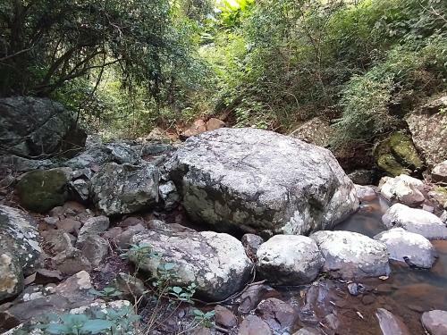 Pousada Figueira Do Rio Do Boi Chal� Ambar