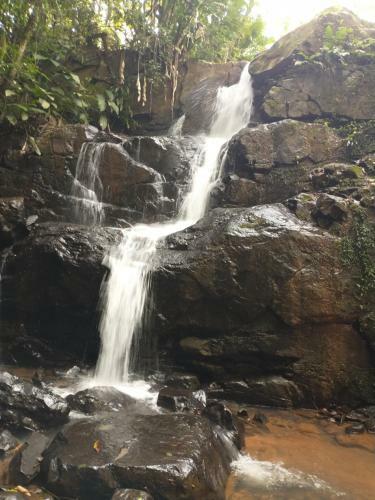 Pousada Figueira Do Rio Do Boi Chal� Ambar