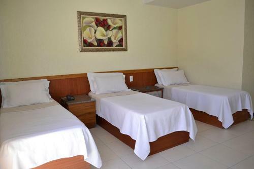 Hotel Barao Da Taquara