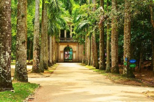 Apartamento Jump In Bed Jardim Botanico 1