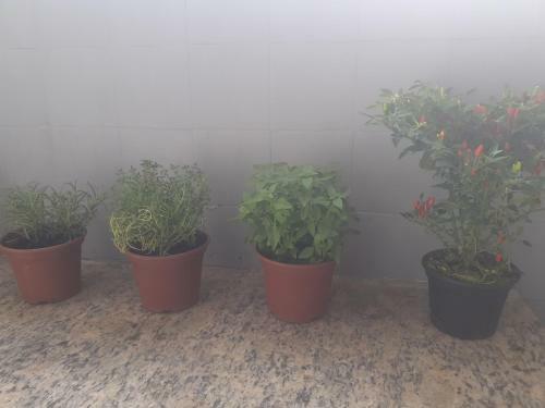 Apartamento Humait�, Zona Sul!