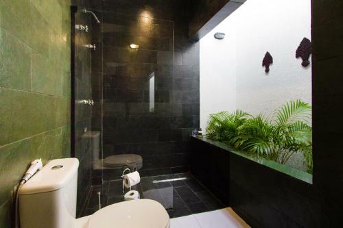 Bed & Breakfast Discovery Suites Rio