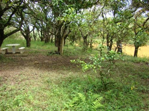 Hostal Sitio Vilela - Inhotim Hospedagem E Translado