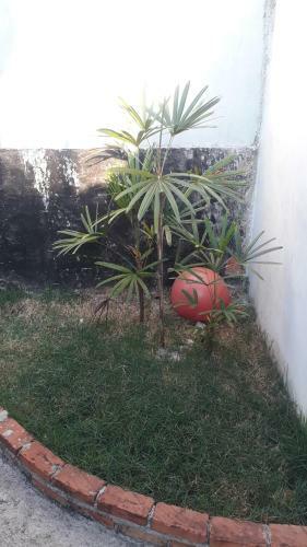 Casa Gl�ria Temporada
