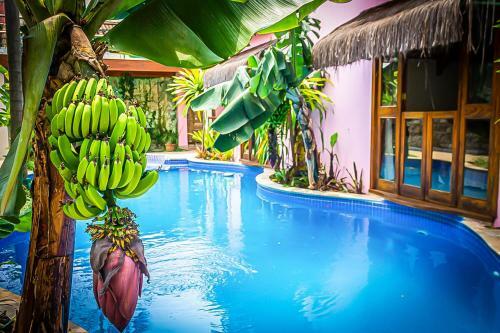 Hostal Pousada Da Banda