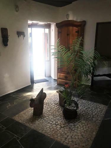 Linda Casa Com Wifi A Poucos Passos Da Praia