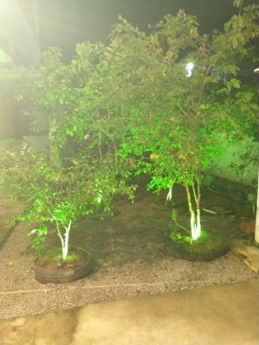 Residencial Flats Sahy