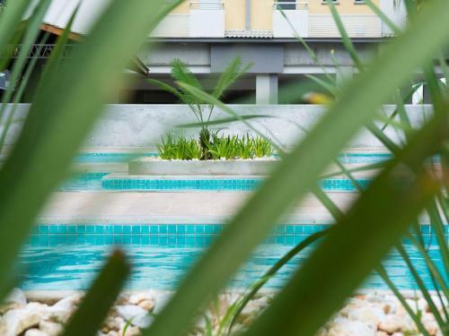 Apartamento Varanda Gourmet, Wifi E Piscinas Em Ubatuba