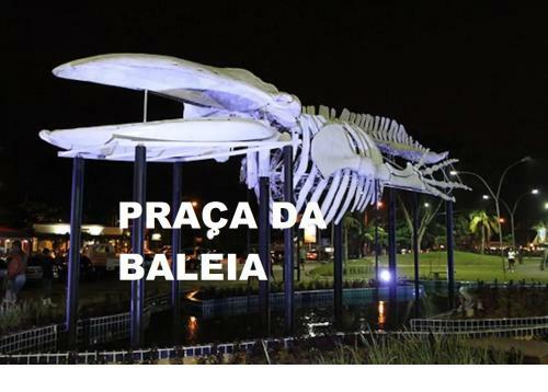 Apartamento Coberturas Na Praia Grande-ubatuba