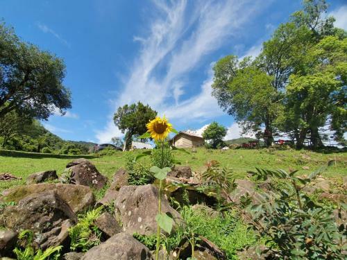 Chal�s Das Arauc�rias