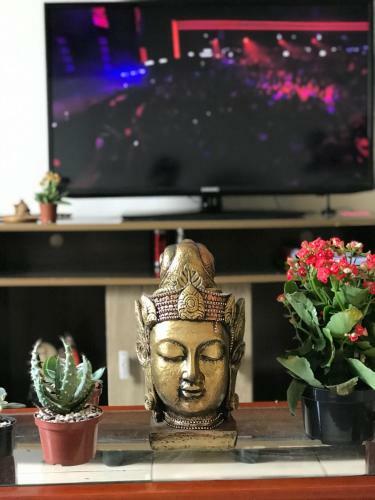 Apartamento Casa Perto Do Shopping