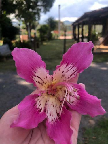 Hostal Chal�s Do Rancho Canastra