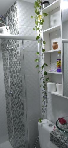 Apartamento Apto Inteiro 2q Pr�ximo Aerop Confins