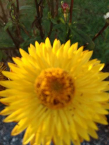 Hostal Pousada Sawabona