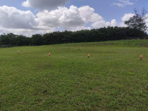 Hostal Vit�ria Da Serra Pousada