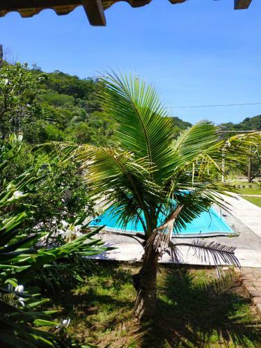 Casa de Campo Com Piscina Na Praia Em Mariscal-sc - Um Ref�gio