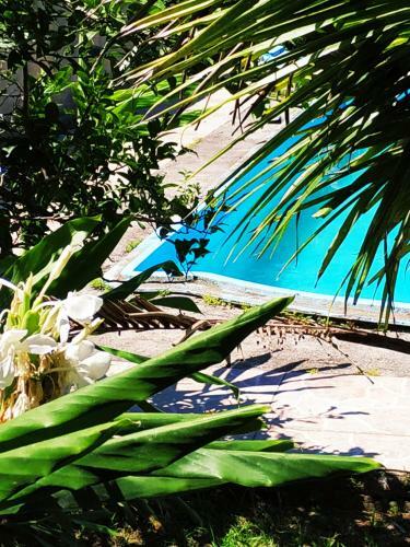 Casa de Campo Com Piscina Na Praia Em Mariscal-sc - Um Ref�gio