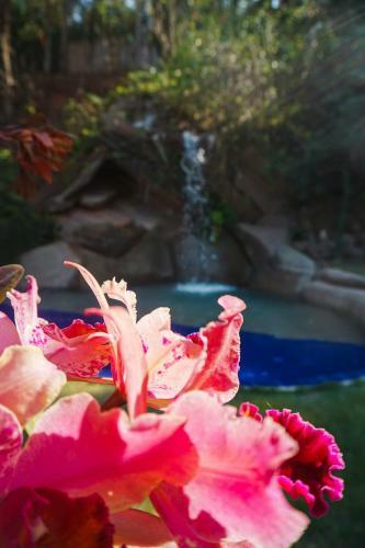 Hotel Eco Resort Bela Riba