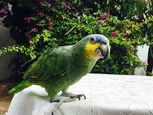 Albergue Casas Coloniais