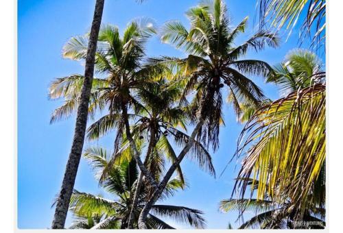 Albergue Casas Coloniais