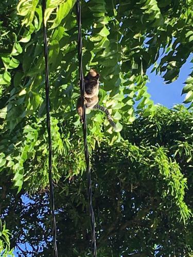 Albergue Casas Coloniais