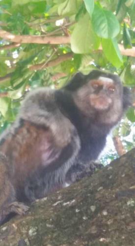 Albergue Casas Coloniais