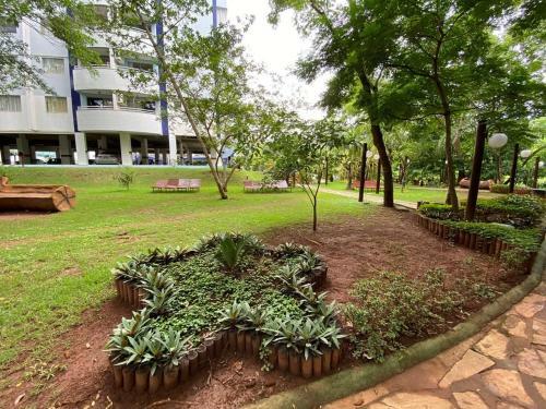 Apartamento �guas Da Serra Family