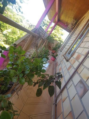 Hostal Pousada Casar�o
