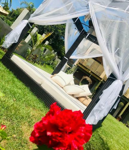 Hostal Shiva Boutique Hotel Vegetariano