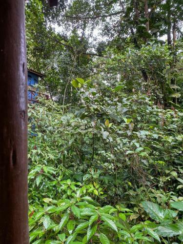 Hostal Pousada Village Flat