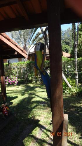 Aconchegante Casa Centro De Penedo