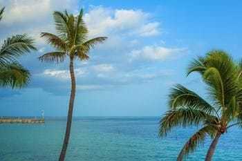 Hotel Southernmost On The Beach