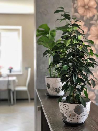 Apartment Near The Forest