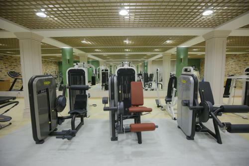Sanatoriy Priozernyi