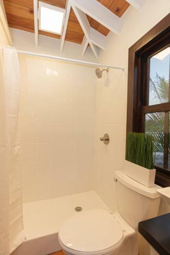 White Cottage Home