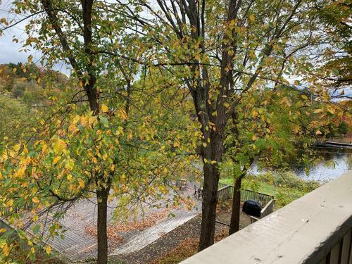 Hotel Inn At The Falls