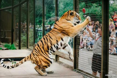 Luxury 2br Suite With Riverfront Views Pool Table Rooftop Patio Bbq Coffee